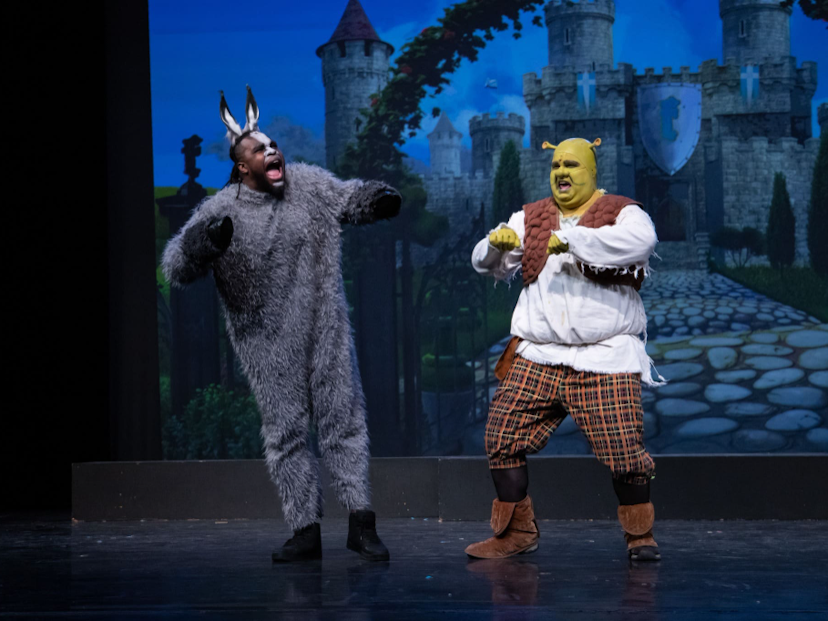 Spotlight on Shrek the Musical